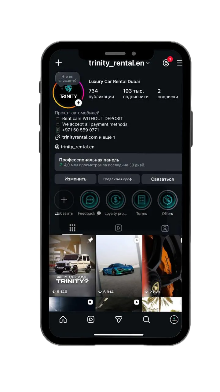 Instagram profile trinity_rental.en